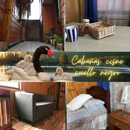 발디비아 Cabanas Cisne Cuello Negro 아파트 외부 사진