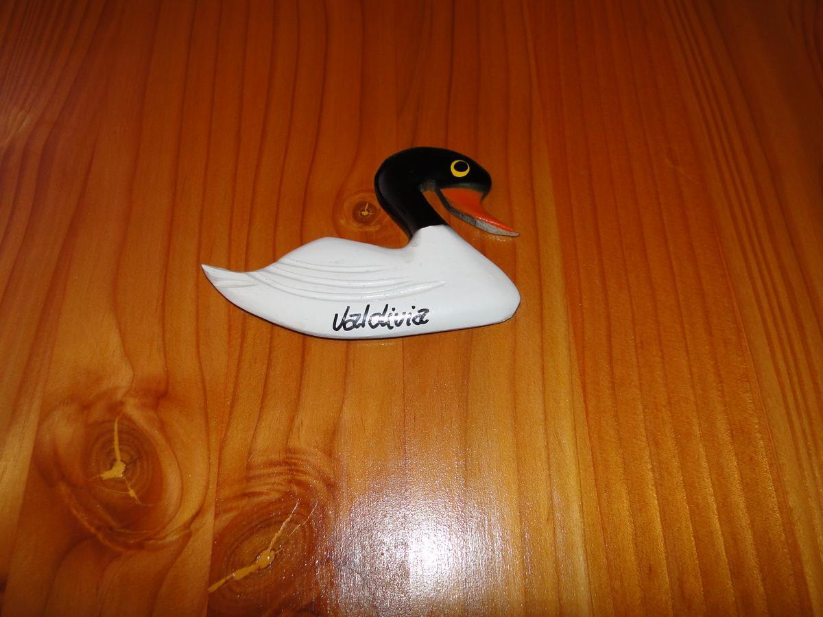 발디비아 Cabanas Cisne Cuello Negro 아파트 외부 사진
